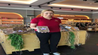 [İBRAHİM ABİ BAKACAK] Yeni mahsul kuru incir raflarda yerini aldı