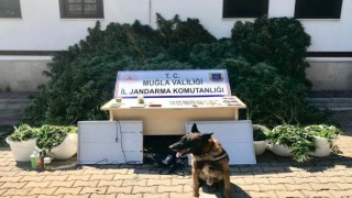 İkametlerinde uyuşturucu madde imal edip satan 2 şüpheli yakalandı