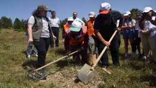 “İklimin Geleceği: Geleceğin İklimi” proje ekibi fidan dikti