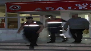 İntihar vakasından kardeş cinayeti çıktı