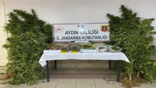İsabeylide, 2 bin 520 gram uyuşturucu ve 51 kök hint keneviri ele geçirildi