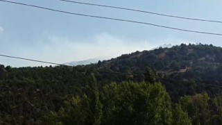 İspirde orman yangını