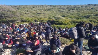 İzmirde jandarmadan göçmen kaçakçılığı operasyonu: 19 olayda 343 göçmen yakalandı