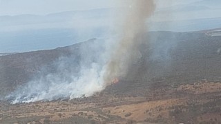 İzmirde makilik alandaki yangın kontrol altında