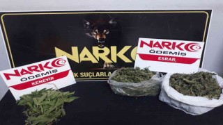 İzmirde uyuşturucu tacirlerine operasyon: 3 gözaltı