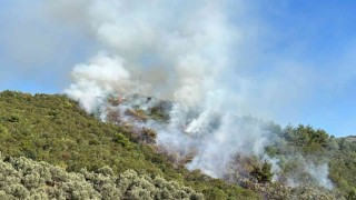 İznikte orman yangını...Helikopter defalarca gölden su aldı