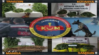 Jandarmadan 4 ilde uyuşturucu operasyonları