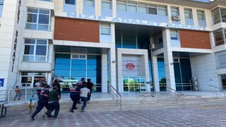 Jandarmadan Antepfıstığı hırsızlarına suçüstü