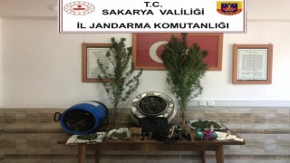 Jandarmadan uyuşturucu operasyonu: 1 gözaltı