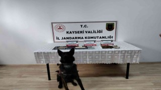 Jandarmadan uyuşturucu operasyonu: 1 gözaltı