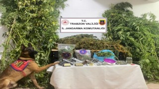 Jandarmadan uyuşturucu operasyonu