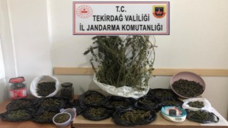 Jandarmadan uyuşturucu satıcılarına darbe üstüne darbe