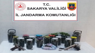 Jandarmadan uyuşturucuya geçit yok: 2 gözaltı