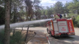 Kadirlide çamlık alanda çıkan yangın büyümeden söndürüldü