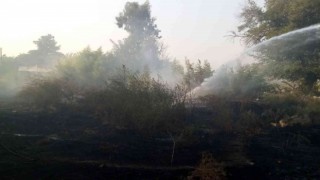 Kadirlide çıkan yangın evlere ulaşmadan söndürüldü