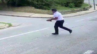 Kaplumbağanın ezilmemesi için yaptığı hareket takdir topladı