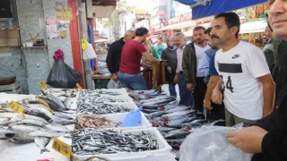 Karadenizde palamut zamanı