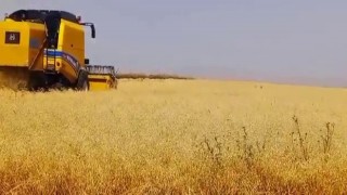 Karsta emekler ekmeğe dönüşüyor