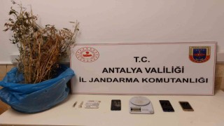 Kaşta 350 gram kubar esrar ele geçirildi