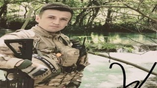 Kayseriye şehit ateşi düştü