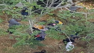 Kazada ölen sürücünün direksiyon başında kalp krizi geçirdiği ortaya çıktı