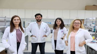 Kireçlenme tedavisi için önemli çalışma