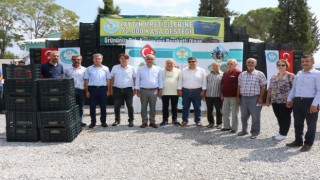 Kırkağaçlı üreticilere zeytin kasası desteği