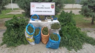 Kırklarelide uyuşturucu operasyonu: 2 tutuklu