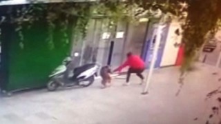 Köpeği bıçaklayarak öldürdü, o anlar güvenlik kamerasına yansıdı