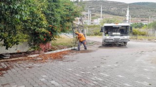 Körfezde sonbahar temizliği başladı