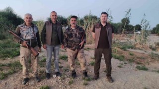 Köyceğizde kaçak avcılıkta kullanılan ses cihazı ele geçirildi