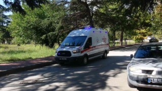 Kozalak toplamak için çıktığı ağaçtan düştü
