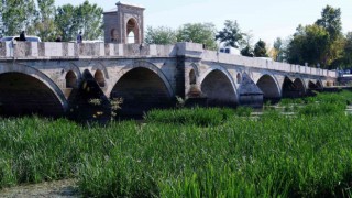 Kuraklıkla karşı karşıya kalan Tunca Nehri ot ve sazlıklarla kaplandı