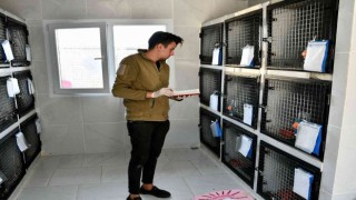 Kuşadası Belediyesinden kedilere özel tedavi ünitesi