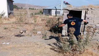 Kuyuda mahsur kalan yavru köpekleri itfaiye kurtardı