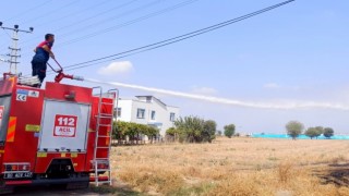 Mahalle arasında çıkan anız yangını söndürüldü