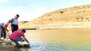 Malatyadaki göletlere 2 milyon yavru balık