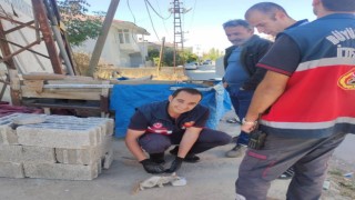 Mazgala düşen yavru kedi kurtarıldı