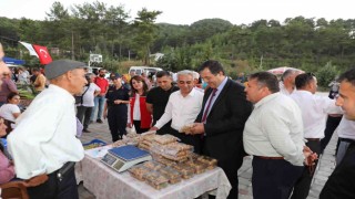 Menderes Havzasının ürünü olarak bilinen incir Dalamanda da üretilmeye başlandı