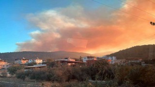 Mersinde orman yangını: Havadan ve karadan müdahale için ekipler harekete geçti