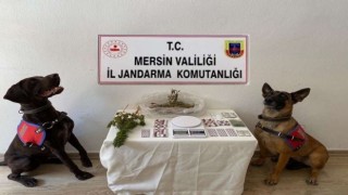 Mersinde uyuşturucu operasyonu: 1 tutuklama