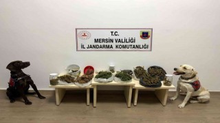 Mersinde uyuşturucu operasyonu