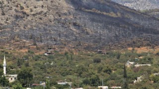 Mersindeki orman yangını, küle dönen bölge havadan görüntülendi