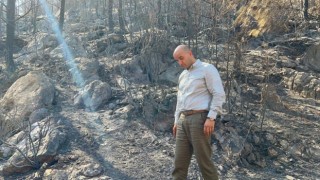 MHPli Kılavuz, Mersindeki yangın bölgesinden incelemelerde bulundu