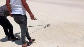 Motosiklet sürücüsünün yılan ile imtihanı