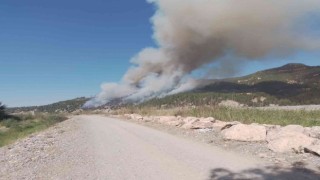 Muğla-Denizli il sınırında orman yangını