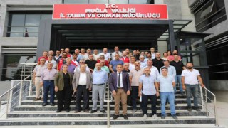Muğlada hasat öncesi zeytinyağı işletmesi sahipleriyle toplantı düzenlendi