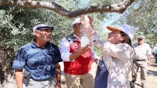 Muğlada iyi tarım uygulamaları çalışmaları yapılıyor