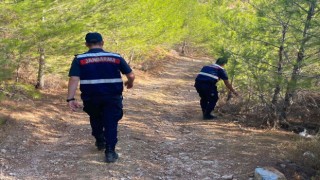 Muğlada orman yangını riskine karşı teyakkuz