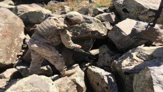 Muşta ‘Eren Abluka-36 Şehit Jandarma Üsteğmen İsmail Moray Operasyonu başlatıldı